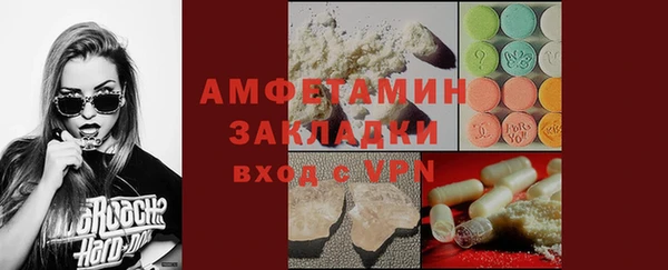 прущие грибы Михайловка