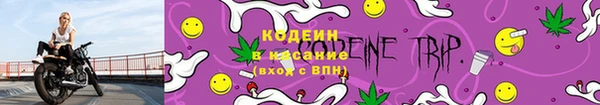спиды Михайловск