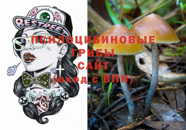 спиды Михайловск