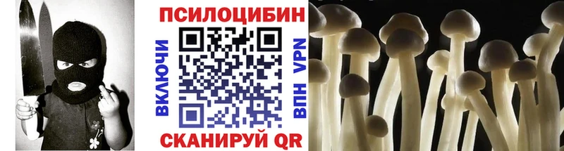 Псилоцибиновые грибы мухоморы  купить наркоту  hydra маркетплейс  Серафимович 